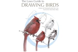 The Laws Guide to Drawing Birds