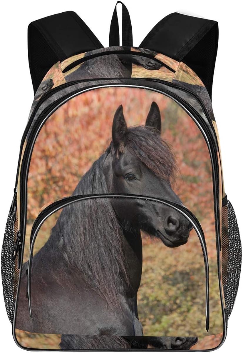 Fresion backpack Clearance