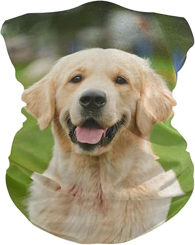 golden retriever scarf