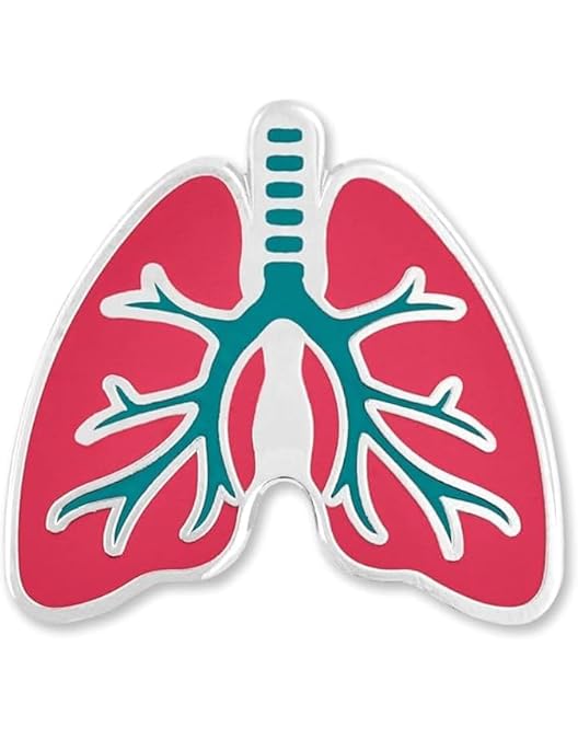 Broches Médicos De Aleación De Zinc - Corazón, Pulmón, Cerebro, Esmalte, Para Médicos Y Enfermeras, Regalo Profesional