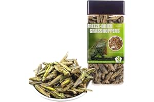 BNYEE Tasty Freeze Dried Grasshopper Reptile Food for Turtles, Bearded Dragon, Hedgehog,Lizard, Chameleon, Birds (3 OZ)