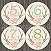 Baby Month Stickers Monthly Baby Girl Milestone Stickers Deer Antler Woodland Floral Flowers