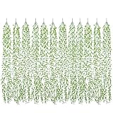 DearHouse 12 Pcs Artificial Vines Fake Greenery Garland Willow Leaves with Total 60 Stems Hanging for Wedding Party Garden Wall Home Decoration