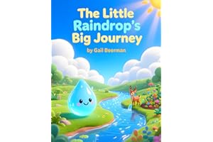 The Little Raindrop's Big Journey
