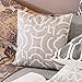baibu Pack of 4 Grey Embroidered Throw Pillow Cover, 100% Cotton Decor Sofa Throw Pillow Case Square Cushion Cover for Couch Sofa 18x18 inch/4PCS