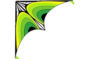 Simxkai Large Delta Kite for Kids & Adults, Best Beach Kite for Beginners, Easy to Fly for Boys & Girls, 300ft Kite Handle Included (Green)