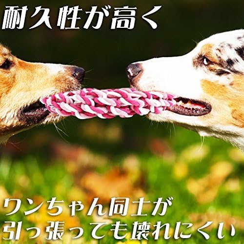 100 品質保証 正規品送料無料 2個セット 激安超特価 B079nwmfqv 大型家電 プロダクト 安芸熊屋 噛む 保証書付き 虫歯防止 スポンサー 犬用 ロープ 歯みがき 丈夫 噛む スポンサー ドーナツ型 おもちゃ 新作製品 世界最高品質人気