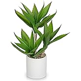 Hollyone Large Artificial Agave Plants Fake Three-Head Agave Succulents Plant Potted 17" Faux Plant in White Pot Succulent Aloe Vera Plants Indoor for Desk Modern Home Decor
