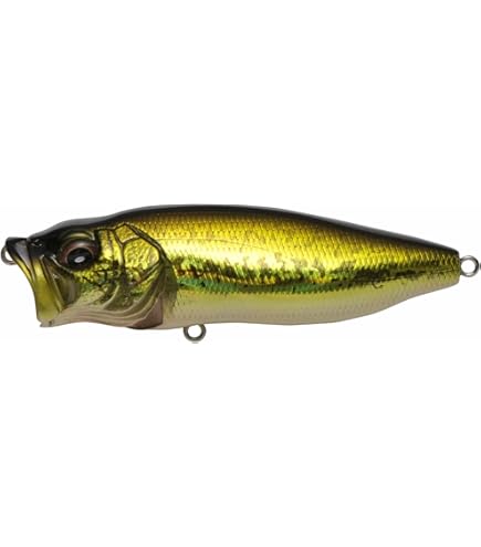 Amazon.com : Megabass POPMAX GLX ITO Gill Lure : Sports