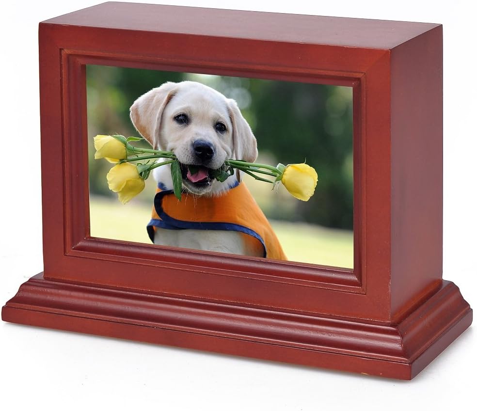 Petmemorials4u Pet Cremation Urn, Photo Box Pet Memorial Urn, Dog Urn,Cat Urn,Small Animal Urn, Medium Size Cherry Wood Pet Memorial Urn, 50 cu.in