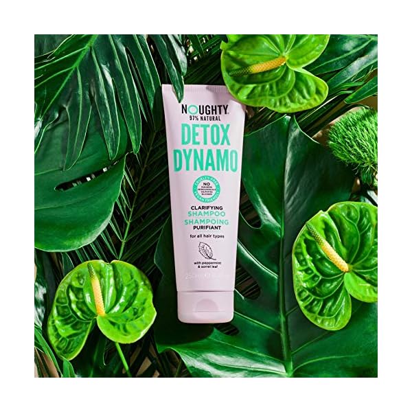 Noughty-Detox-Dynamo-Clarifying-Shampoo Noughty 97% Natural Detox Dynamo Clarifying Shampoo to Refresh Hair and Remove Residue, Suitable for Every Day Use with…