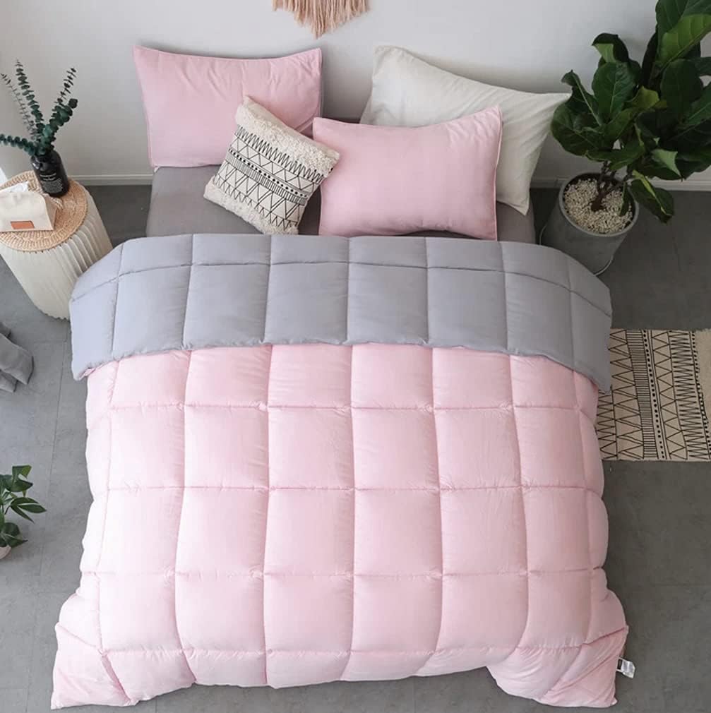 KASENTEX All Season Down Alternative Quilted Comforter Set with Sham(s) - Reversible Ultra Soft Duvet Insert Hypoallergenic Machine Washable, Queen, Pink Potpourri/Quartz Silver: Home & Kitchen