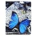 Case for iPad 2/3/4, Dteck Multiple Viewing Angles Folio Stand Smart iPad Case with Auto Sleep/Wake Protective Cover Case for iPad 4th Generation,iPad 3 & iPad 2 - Blue Butterfly