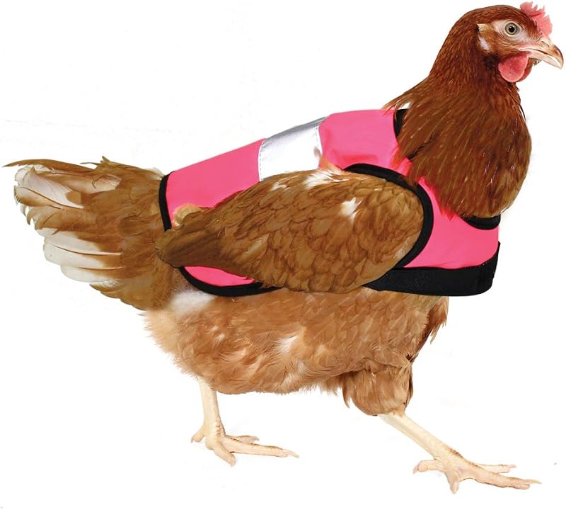 Omlet High-Vis Chicken Jacket Pink Warm Winter Hen Saddle Cold Weather