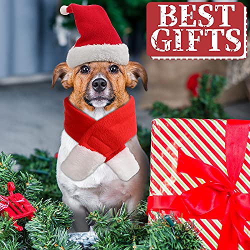 Sets Christmas Pet Costume Set Santa Hat with Scarf Cloak Set