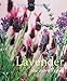 Lavender: The Grower's Guide by Virginia McNaughton, Joan L. Headley