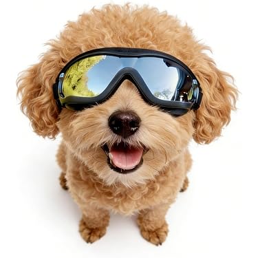 Amazon Best Sellers: Best Dog Sunglasses