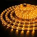 WYZworks 576LEDs, 50ft LED Outside Rope Lights, Waterproof Permanent Outdoor ETL Certified Connectable Clear Tube, Christmas Palm Tree Holiday Decorative Landscape Patio Accent Lighting - Orange