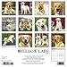 Just Yellow Labs 2018 Calendar