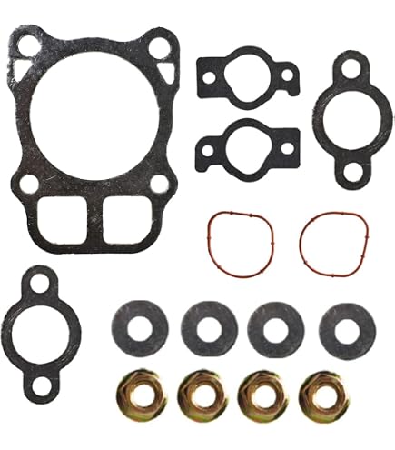 2 Fit Kohler 24 841 01S 2484101S 2404108S CH18 - CH25 CV18-22 Head