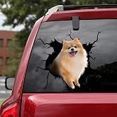 American Eskimo Dog Auto-Aufkleber – 30,5x30,5 Cm, Packung Mit 2 Stück, Wasserfest