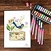 Watecolor Brush Pens Set (pink1)