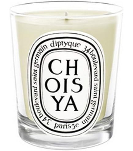Amazon.com: Diptyque Pomander Candle-6.5 oz : Home & Kitchen