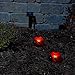 Smart Solar 3656MRM4 Ladybug Solar Red Light Set, 4-Pack, Powered by a Separate Solar Panel Allowing Lights to be Placed in Shady Areas