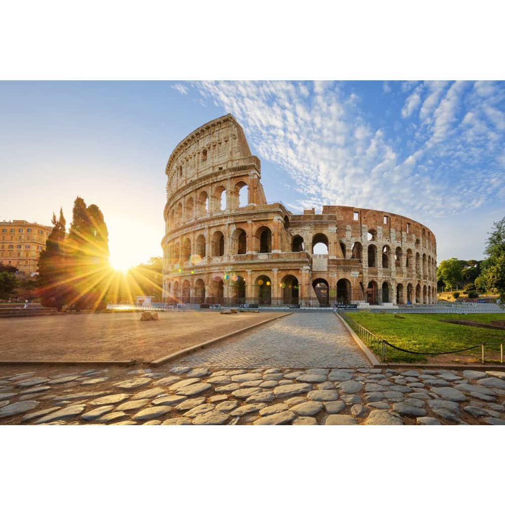 Aoihrraan 3x2,5m Colosseum Backdrop Italy Ancient Rome History Civilization Building Photography Background Holiday Travel Wedding Vacation Children Adults Artistic Portrait Photo Studio Props