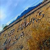 I SEE HAWKS IN L.A.                                image