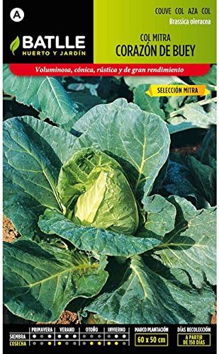 Semillas de Col repollo Corazón de buey sel. Mitra: Amazon.es: Jardín