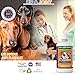 My Pet Nose Hip & Joint Liquid Supplement Includes Glucosamine Chondroitin, MSM and Hyaluronic Acid for Dogs, 32 oz