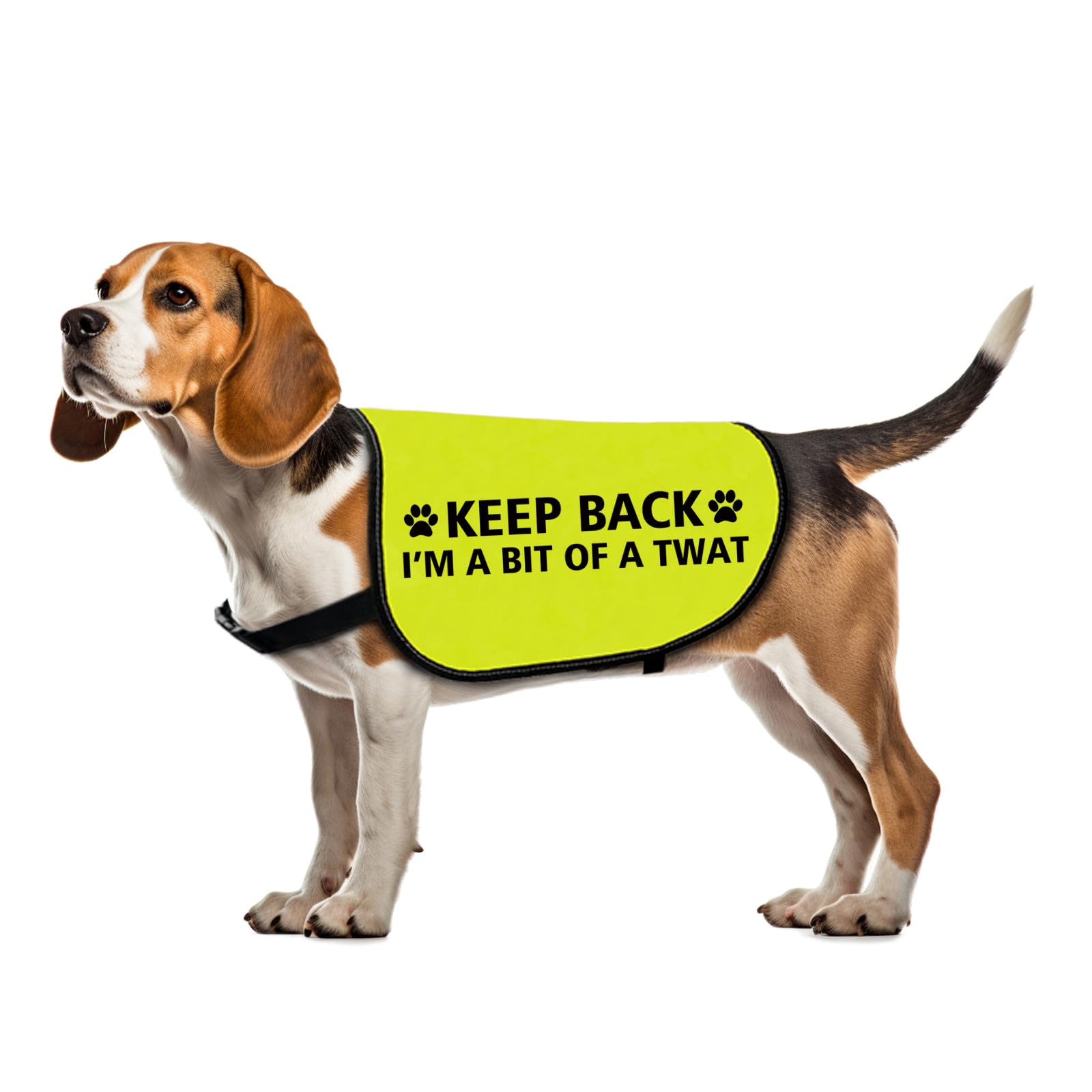 Funny Reactive Dogs Jacket Keep Back I’M A Bit Of A Twat Slogan Vest Social Distancing Gift Nervous Dog Gift (Bit of A Twat-Medium)