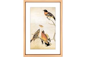 BKABOT 4x6 Picture Frame, Gold Metal Photo Frames with HD Glass, Fits 3x5 with Mat or 4 x 6 without Mat, Display for Wall and Table, 1 Pack