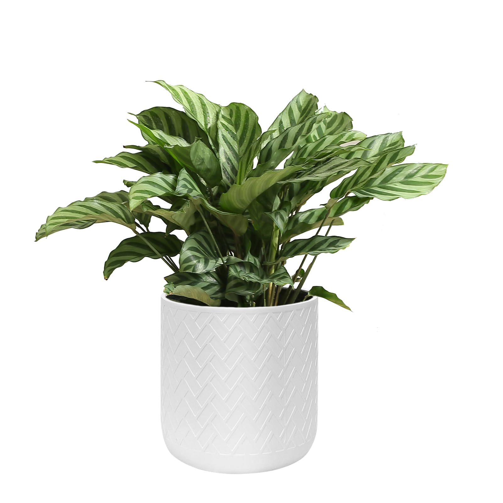 Photo 1 of fuxuiwy 12 Inch Flower Pot Without Bracket with Drainage Holes Suitable for Indoor and Outdoor Decorative Planting (White Rectangle, 12 Inches)