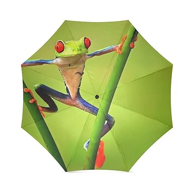 Amazoncom Cute Red Eyed Tree Frog Folding Rain Umbrella
