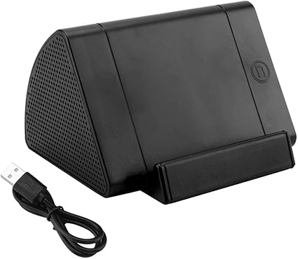 stereo induction speaker