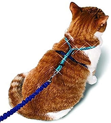 amazon cat leash