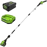 Greenworks 60V 10 in Electric Pole Saw, 2.0 Ah Battery and Charger