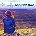2GOECO Lightweight Backpack for Travel Hiking Convertible Foldable Packable Daypack Bag 20L Blue