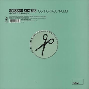 Scissor Sisters Comfortably Numb Amazon Co Uk Music