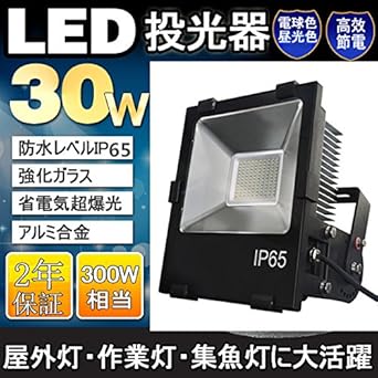 Amazon 水銀灯 に 代わる 高輝度 夜間のled作業灯 Led投光器 30w 300w相当 薄型 昼光色6000k 屋外 防水 1度 放熱対策 100v プラグ付 ノイズなしの設計 ハロゲン代替品 作業灯 ワークライト 看板照明 Ledライト スポットライト 日本製 Ledチップ 電源