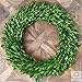 Olive Branch Home Preserved Boxwood Wreath With Gift Box, Large Indoor Year Round Green Wreath (20 Inch Round)