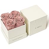 Rosaura 4-Piece Eternal Preserved Roses & Flowers Gift Box - Forever Lasting Real Roses, Preserved Flowers for Valentine's Day Cappuccino