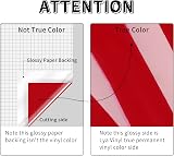 Lya Vinyl Red Permanent Vinyl Roll 12x5Ft for Cricut Outdoor Self Adhesive view 3