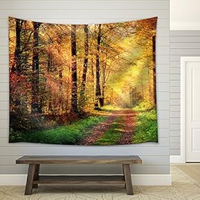 Autumn Forest Scenery with Rays of Warm Light Illumining The Gold Foliage - Fabric Wall Tapestry Home Decor - 51x60 inches