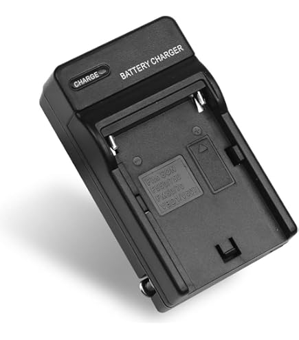 Amazon.com: Sony BC-U2A Dual-Bay Charger/AC Adapter for BP