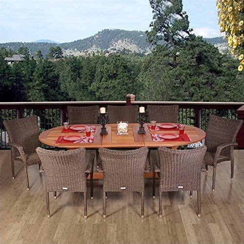 Rennaisance 9 Piece Eucalyptus/Wicker Extendable Oval Patio Dining Set