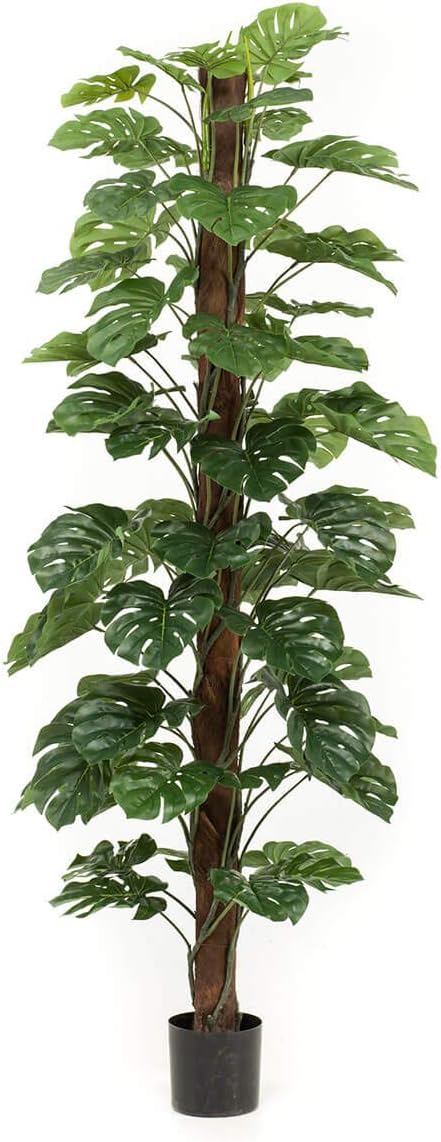 Artificial Cheese Plant - Premium Quality Monstera Jungle Style Plant - Fake Split-Philo Houseplant.