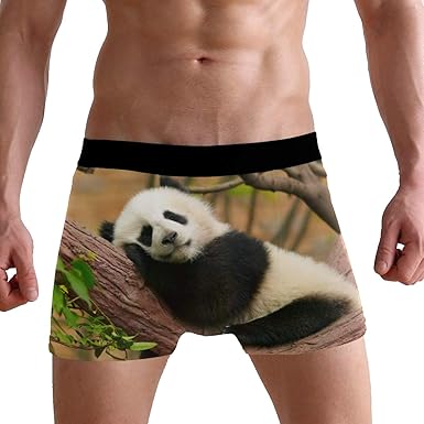 panda boxer briefs